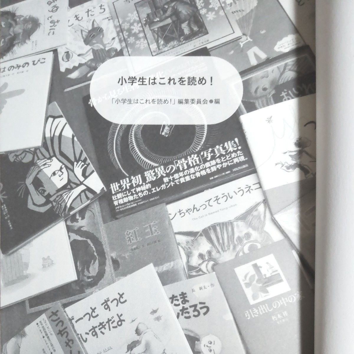 『小学生はこれを読め！』北海道新聞社 発行     絵本 + 児童書 645選！  全158ページ     ワンオーナー 、超美本