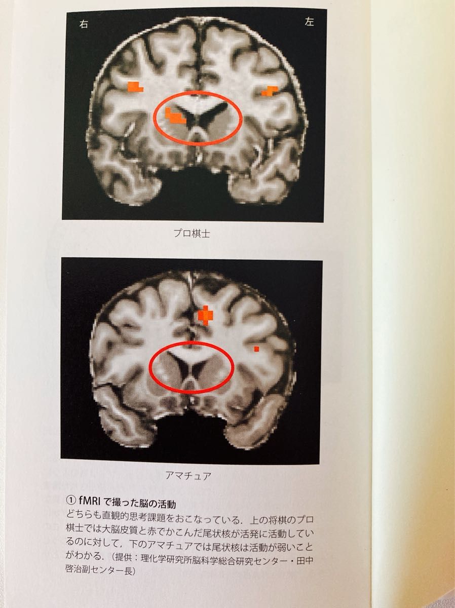 脳科学の教科書　こころ編 （岩波ジュニア新書　７４８） 理化学研究所脳科学総合研究センター／編