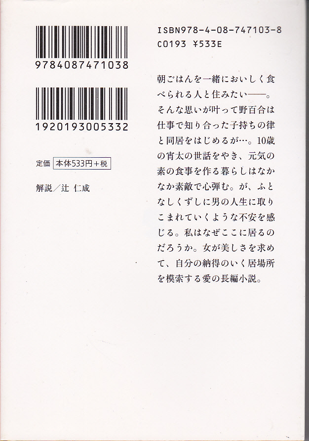 0715【送料込み】《田辺聖子の文庫本2冊+１冊おまけ》「鏡をみてはいけません」・「おいしいものと恋のはなし」+(おまけ)「金魚のうろこ」