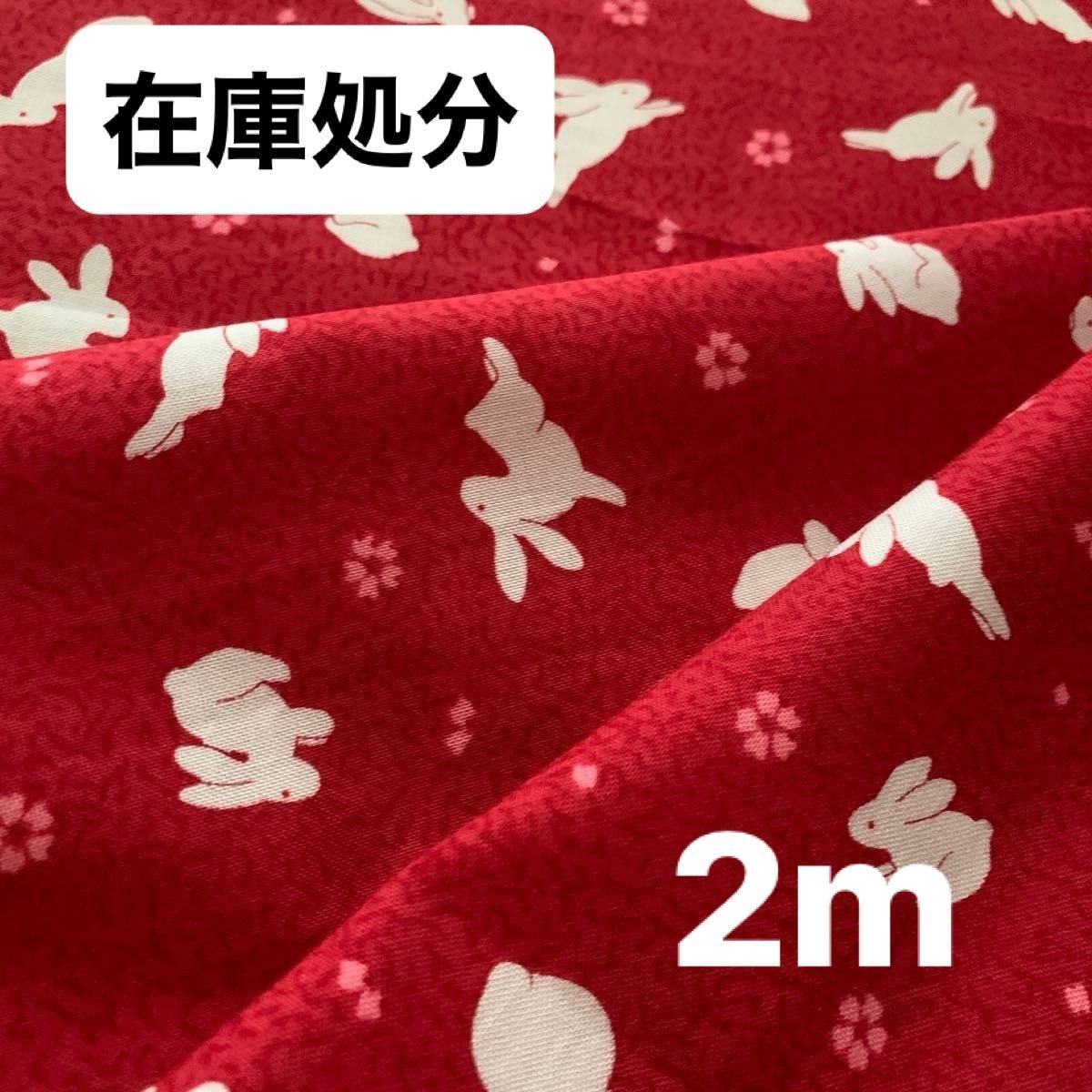 うさぎ柄生地　113㎝巾 2m
