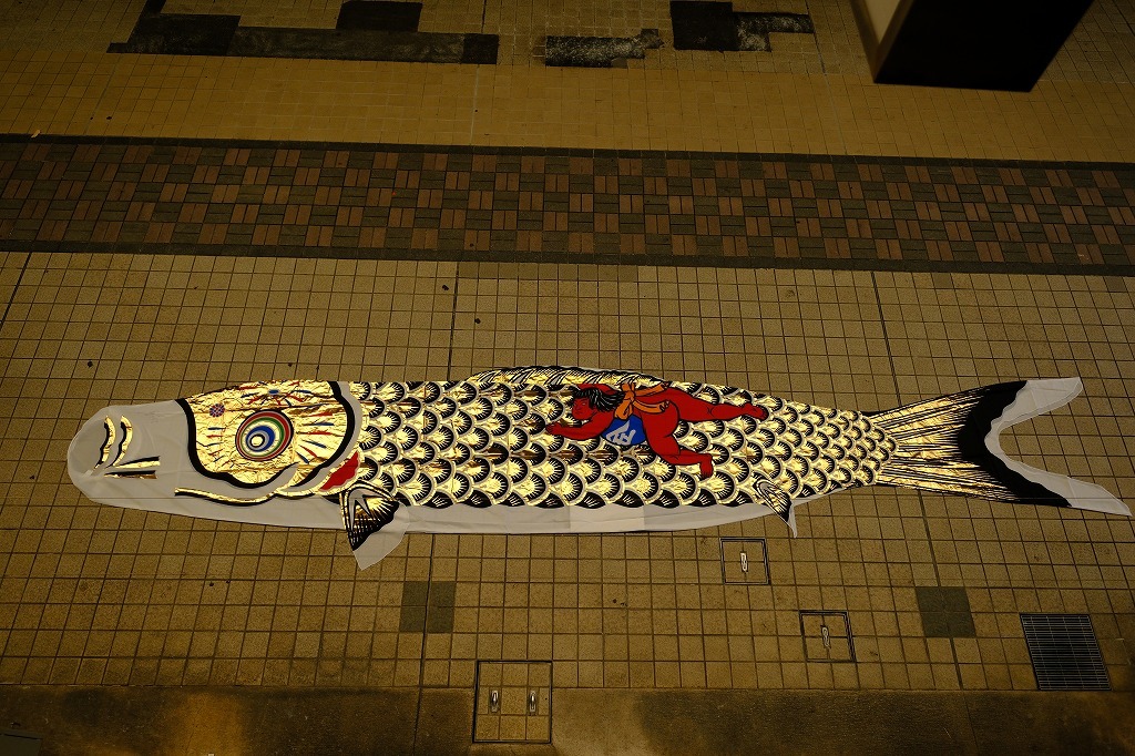 鯉のぼり 鯉幟 8m カネボウナイロン使用 京友禅鯉ゴールド金太郎付 H401の画像1