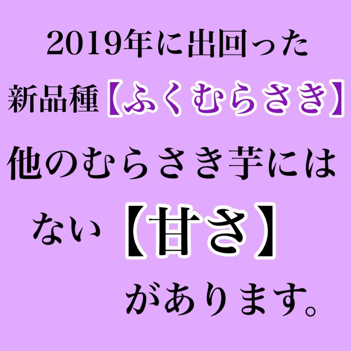 新品種！高糖度むらさき芋【ふくむらさき】箱込み1キロ超　送料無料