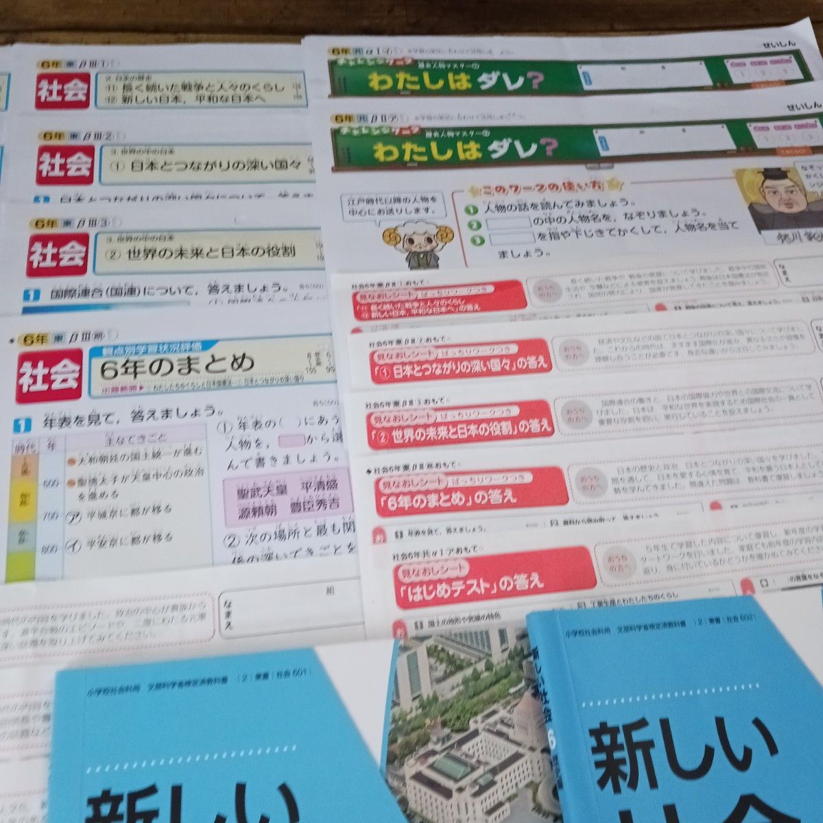 2023年度 小6 社会 テスト 見なおしシート 答え せいしん 東京