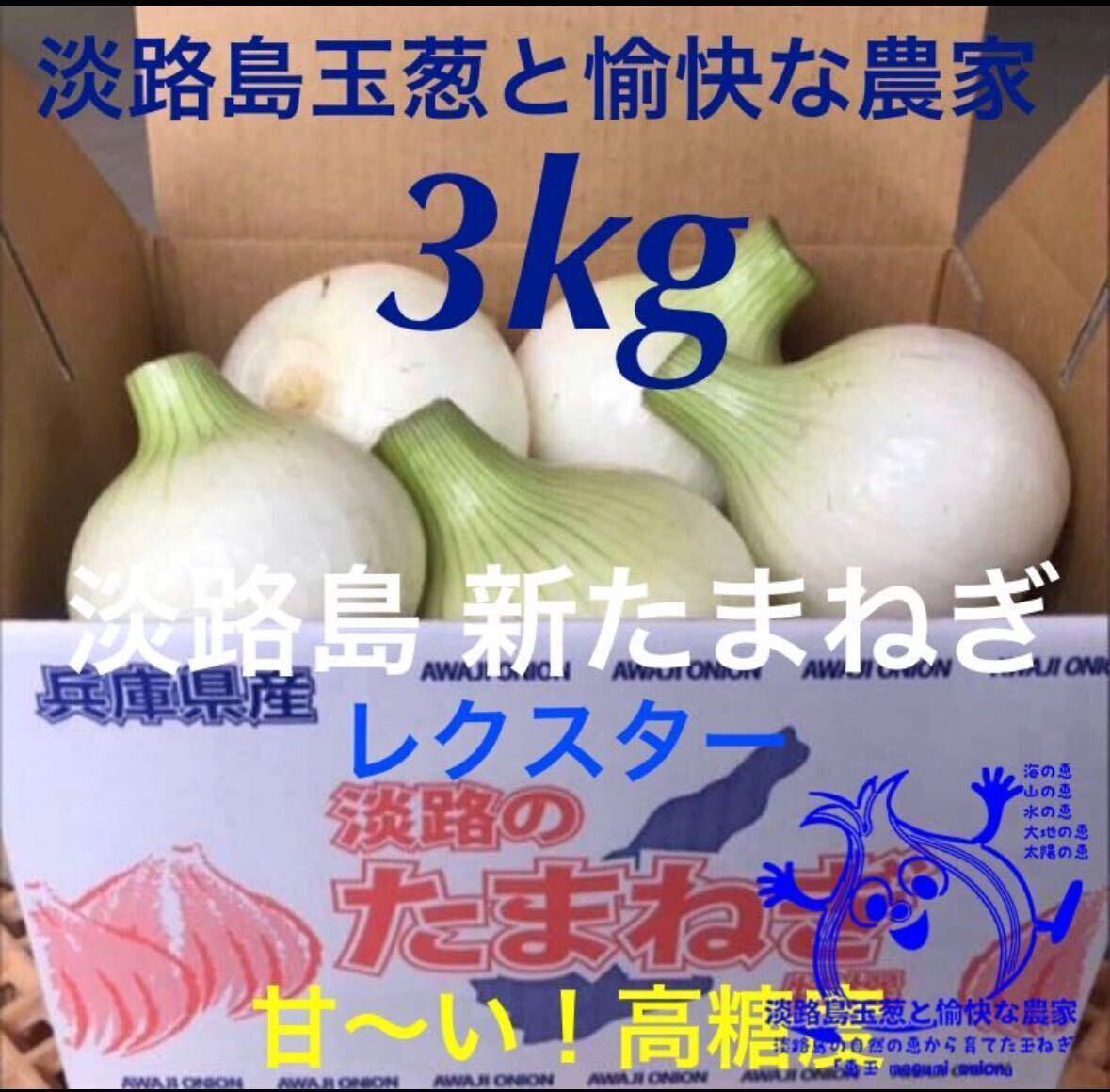 淡路島産新玉ねぎ 3kg×2箱 高糖度 新たまねぎ 新玉葱 新タマネギの画像2