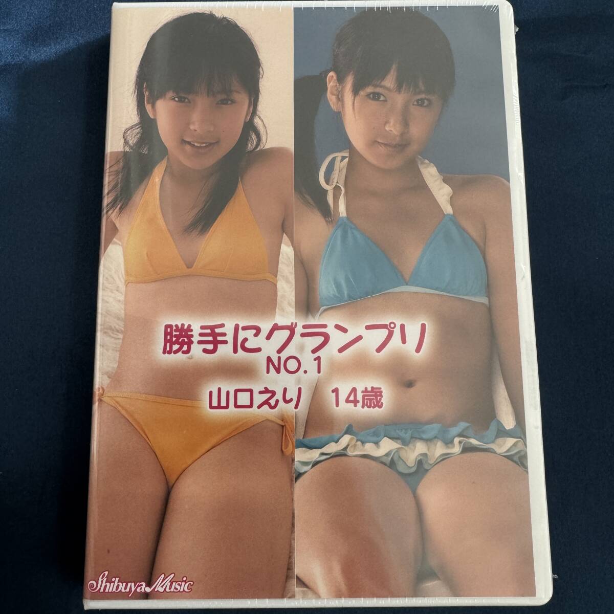 ★特価品☆ 【DVD】 山口えり 勝手にグランプリ NO.1 / 渋谷ミュージック 正規品 新品 アイドル イメージ_画像1