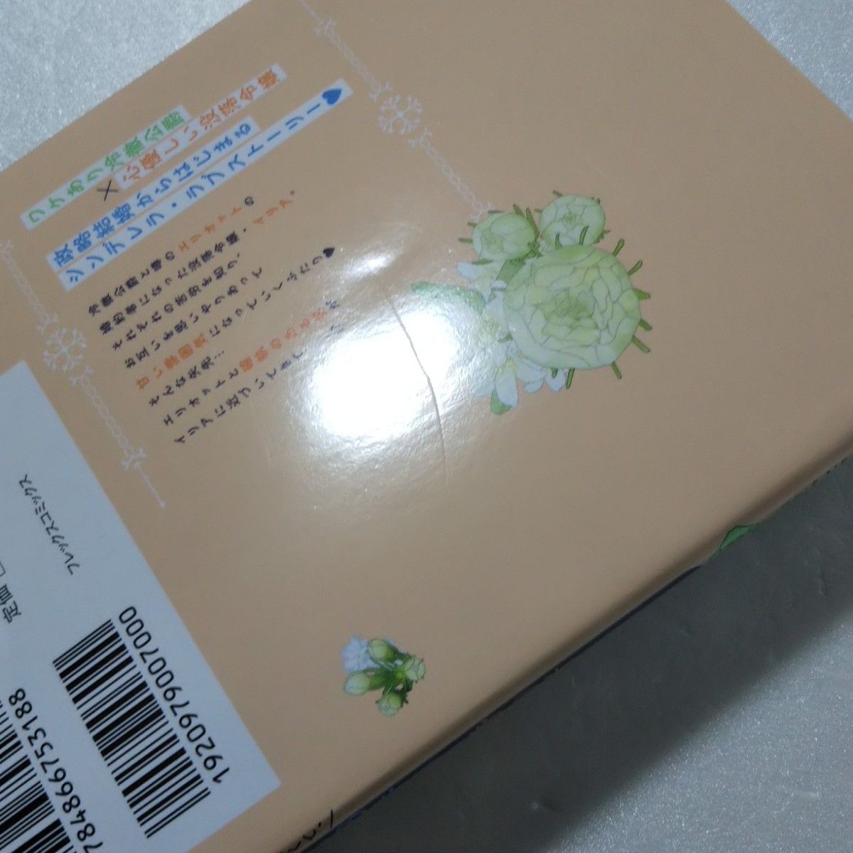 花嫁修業をやめたくて、冷徹公爵の13番目の婚約者になります 3,4巻/空柄