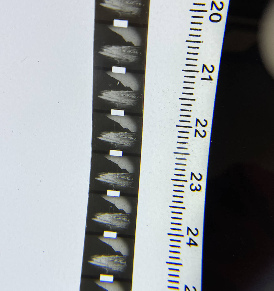 アンティーク ムービーフィルム 9.5mm 「トロール漁の牡 朝鮮沖にて」戦前 竹島 朝鮮の画像4