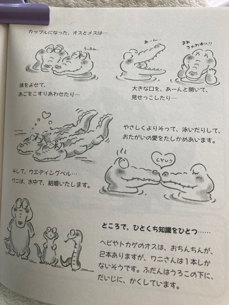 りっぱな犬になる方法　著/きたやまようこ　&    とことんワニ　著/ひろかわさえこ　2冊セット