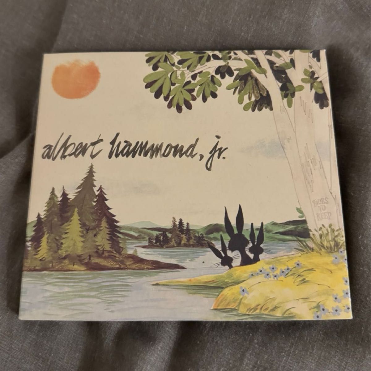 Yours to keep / Albert Hammond Jr アルバム CD US UK ROCK ロック 音楽