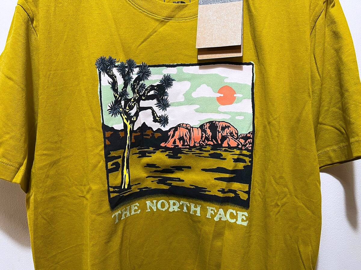 送料￥380 新品 日本未発売 正規品 USA限定 日本未発売 The North Face ノースフェイス US-XL グラフィックTシャツ GI TEE の画像2