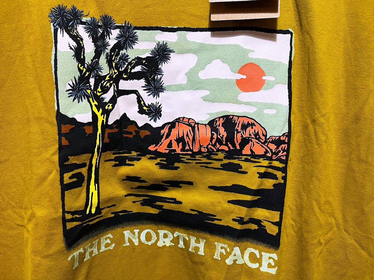 送料無料 即決 送料 新品 日本未発売 正規品 USA限定 The North Face ノースフェイス US-XL グラフィックTシャツ GI TEE 
