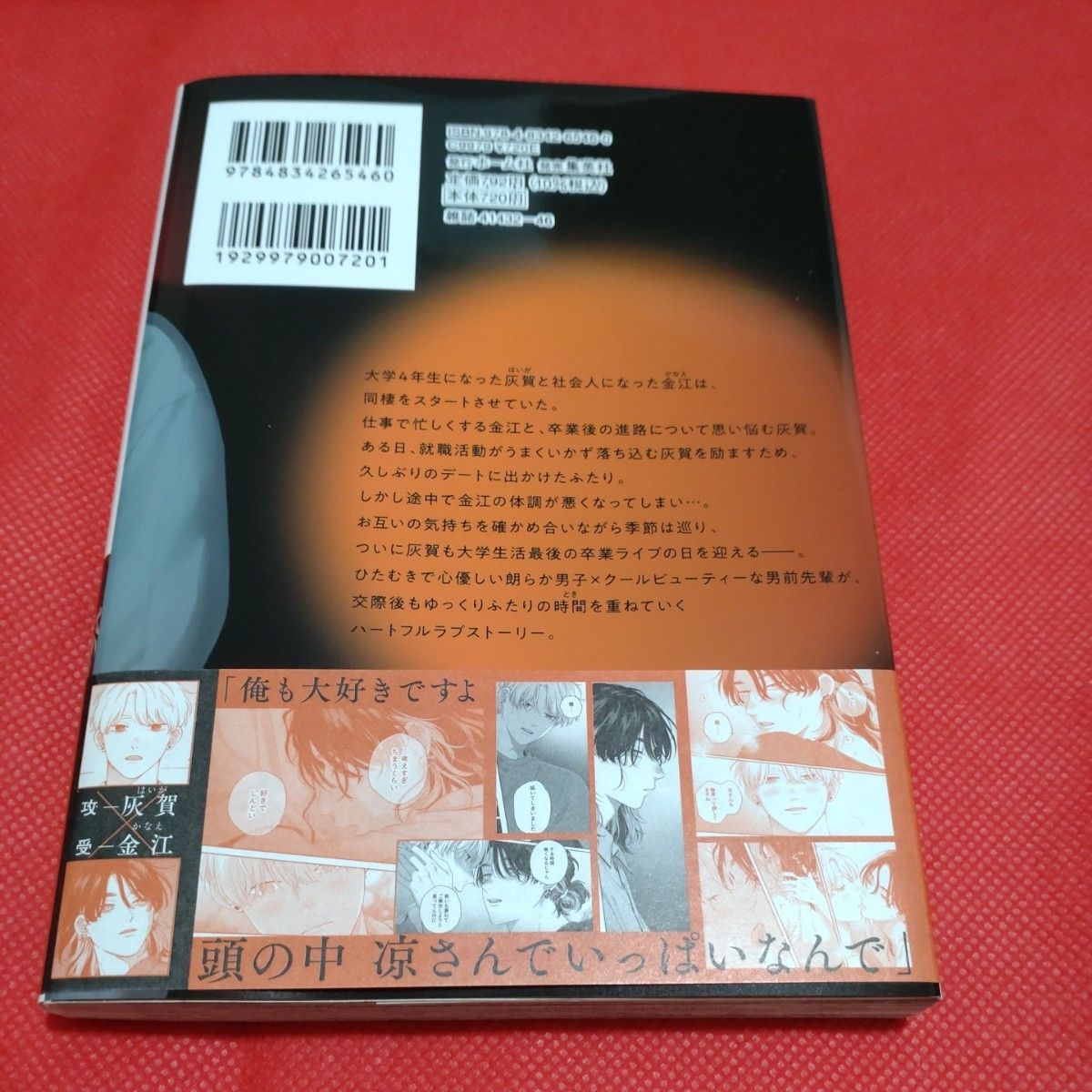 特装版　ピンクハートジャム  上 下　小冊子　ピンクハートジャム beat 1　アニメイト　特典　リーフレット　 ペーパー　しっけ