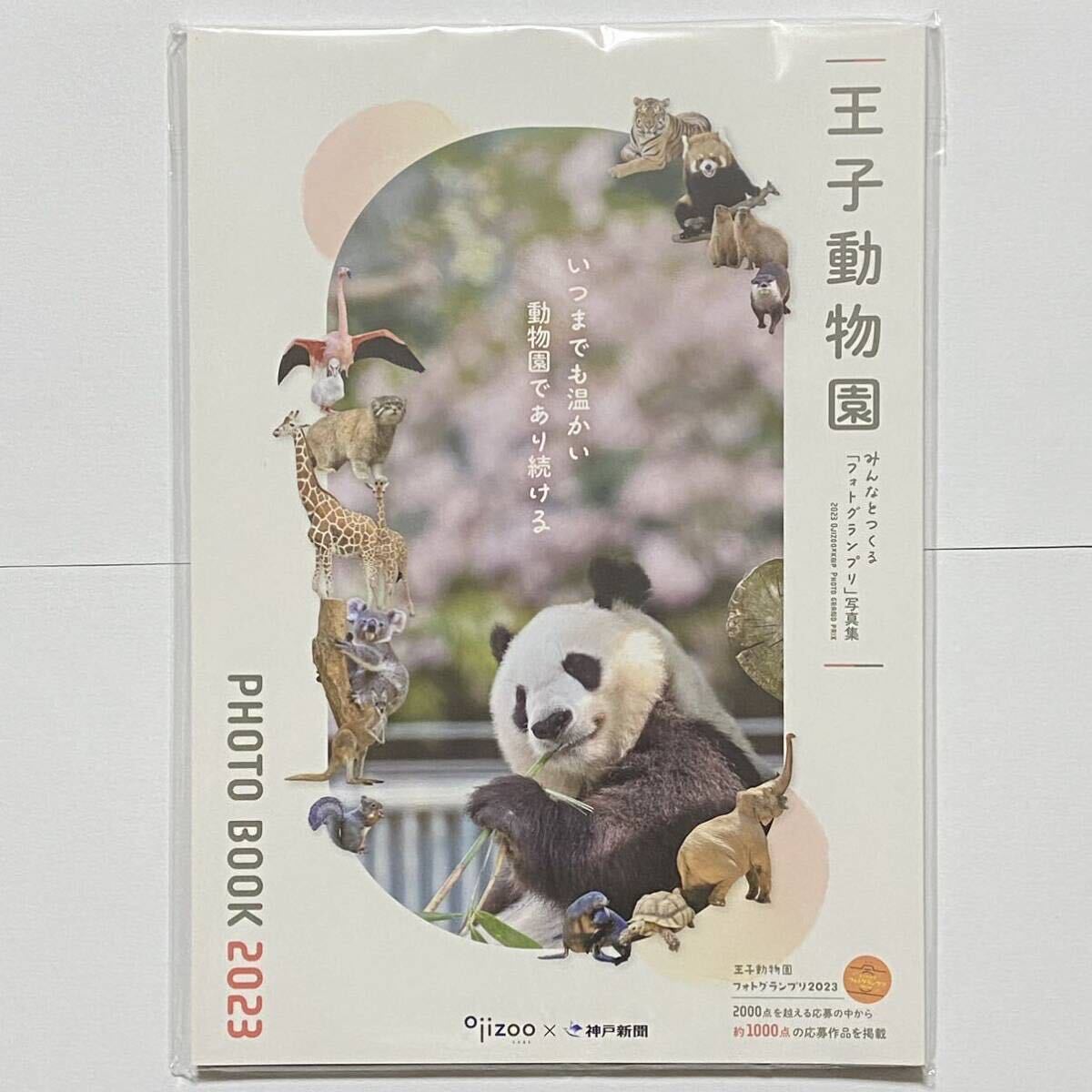 王子動物園フォトグランプリ2023写真特集／タンタン ジャイアントパンダ クリアファイルの画像2