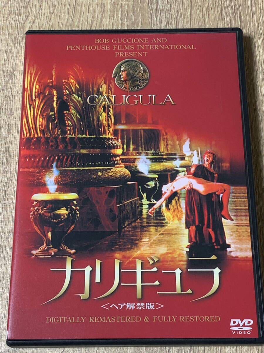 カリギュラ CALIGULA ヘア解禁版 コンプリート BOX DVD2枚組 帯付きの画像5