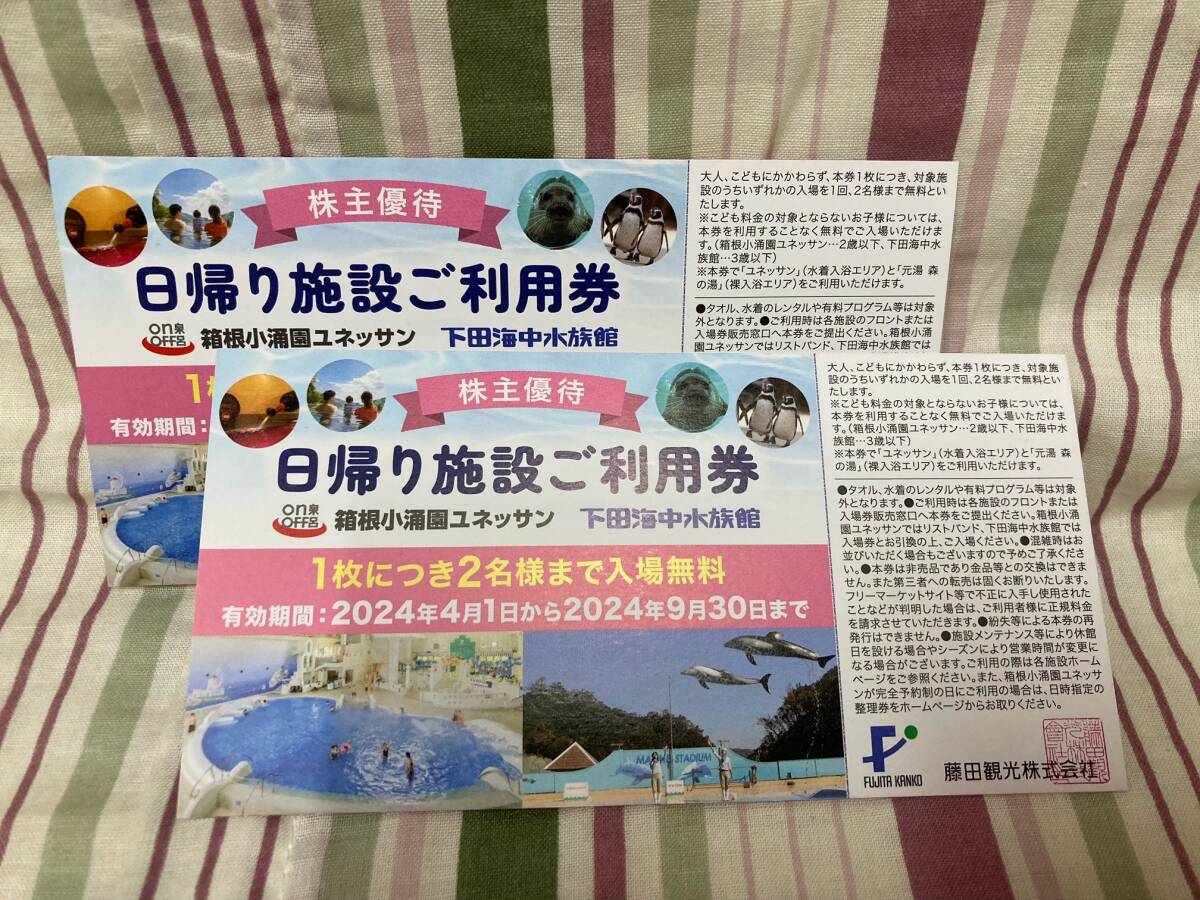 藤田観光 ペア 日帰り施設利用券 2枚セット (ユネッサン・下田海中水族館)  クリックポスト送料込みの画像1