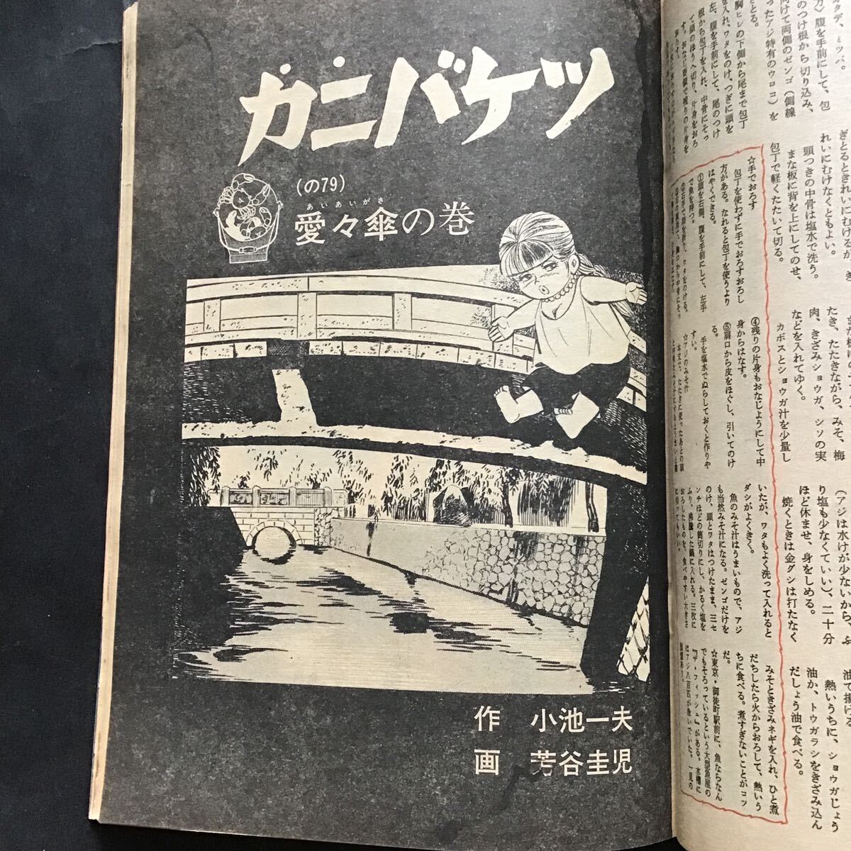 週刊大衆 昭和53年 6月22日【通過1075号】山口百恵/ルポ特集東京の花街/三遊亭円生/他/古書雑誌/の画像5