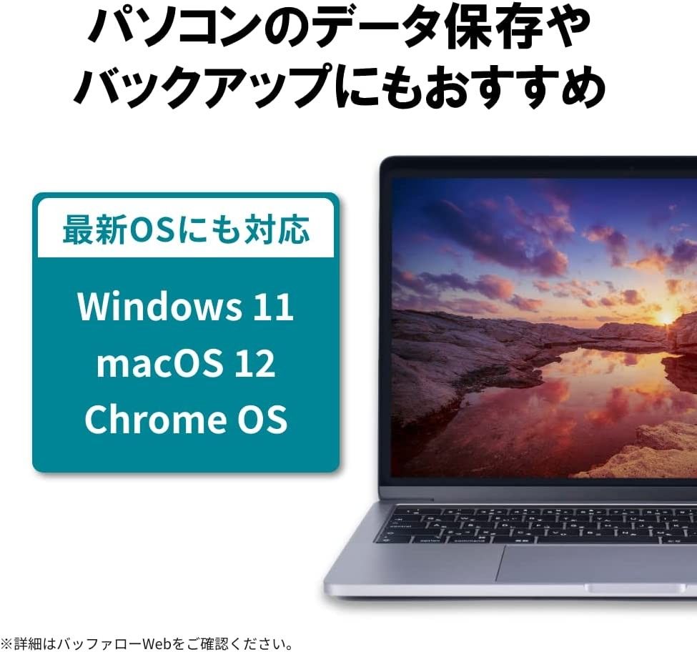 ●美品●BUFFALO　２ＴＢ　外付けハードディスク　ブラック● TV録画用＆PC対応HDD　静音/防振/放熱設計 ヘアライン加工