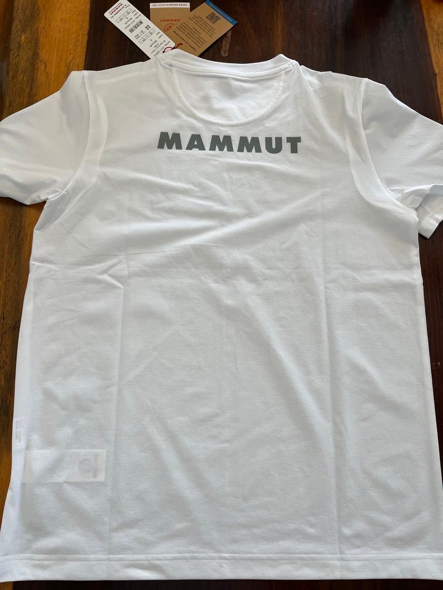 MAMMUTマムート　半袖Tシャツ アジアL QD Logo Print T-Shirt AF Men