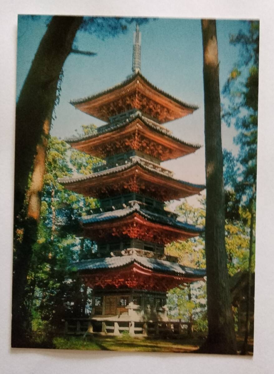 絵葉書　新潟　佐渡　妙宣寺五重塔　　　　　　　　　　　　　　　　　　　　　　　　　　　　_画像1