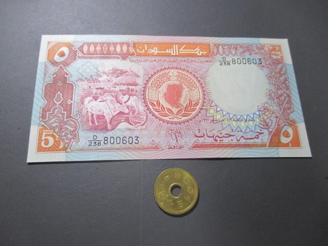 未使用　スーダン　1991年　橙色5ポンド　P-45_画像1