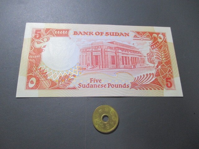 未使用　スーダン　1991年　橙色5ポンド　P-45_画像2