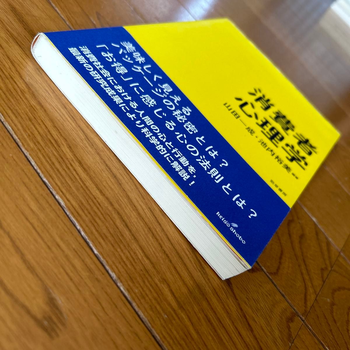 消費者心理学 山田一成／編著　池内裕美／編著