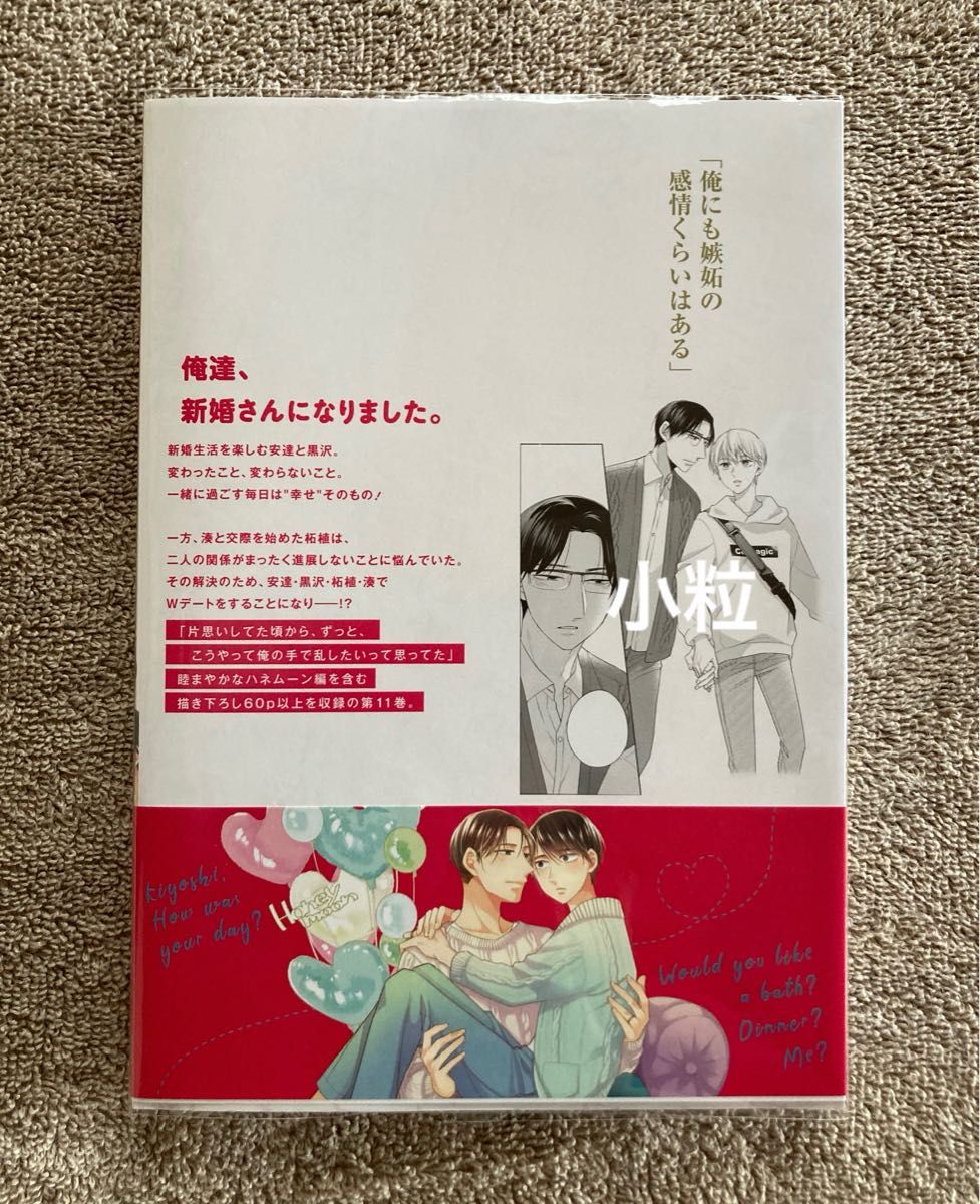 【初版】30歳まで童貞だと魔法使いになれるらしい(11)チェリまほ ※特装版小冊子無し※