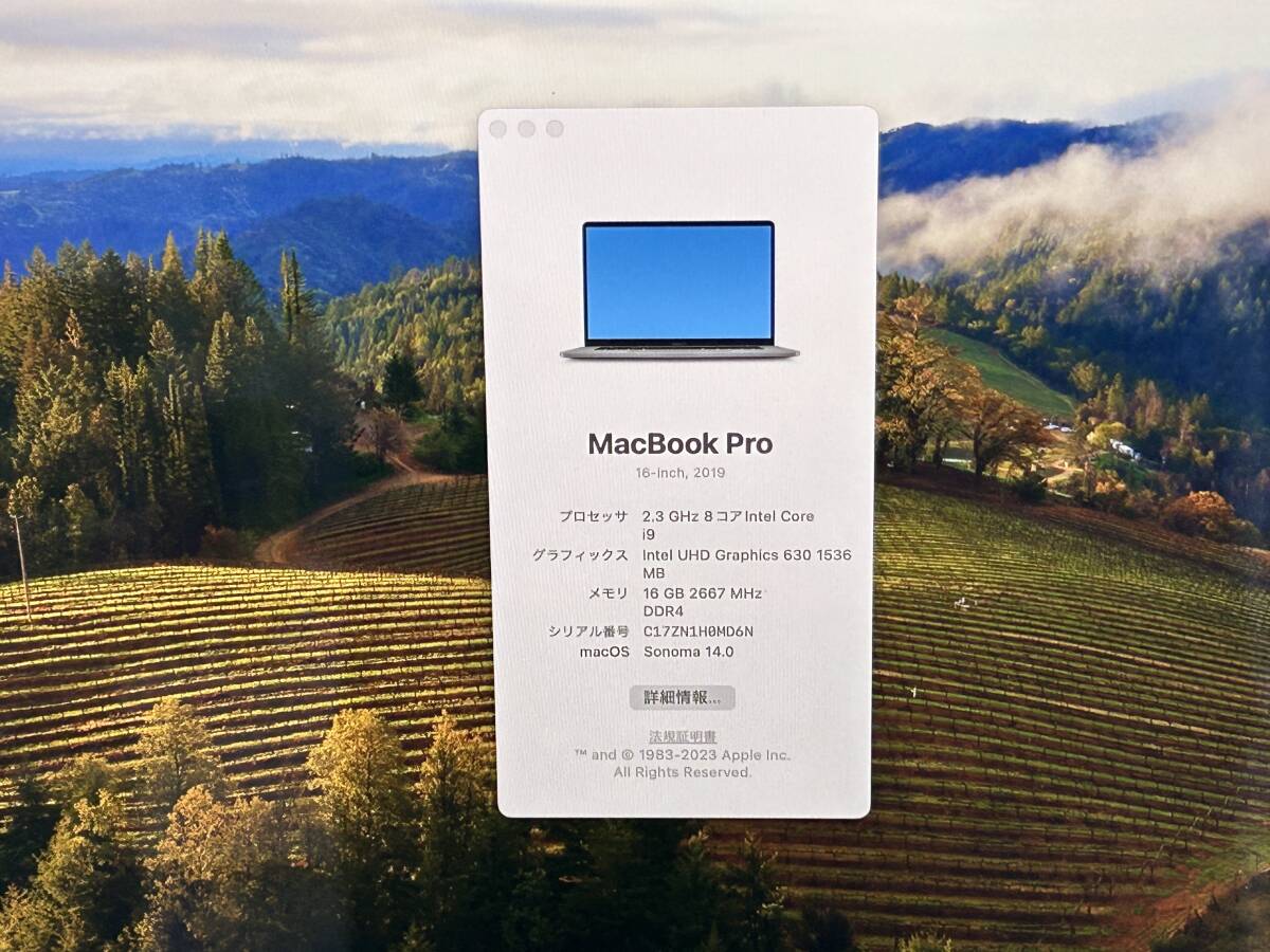 【16インチ Core i9】Apple MacBook Pro(16-inch,2019) A2141 Core i9(9880H)/2.3GHz RAM:16GB/SSD:1TB space gray Sonoma 動作品※難ありの画像8