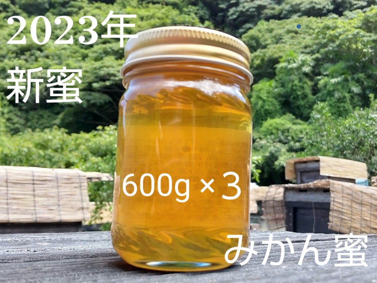 【非加熱、純粋はちみつ】スッキリとした甘さとほのかな酸味が人気な希少蜂蜜「みかん蜜」600g×3本セット 1800g