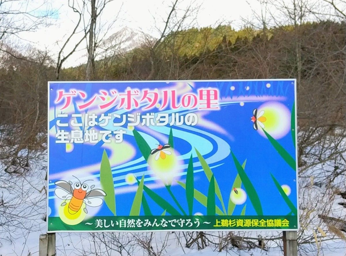 最上【ほたる米】山形県産 はえぬき 令和5年度 5kg きれいな水でそだったお米 農家直送