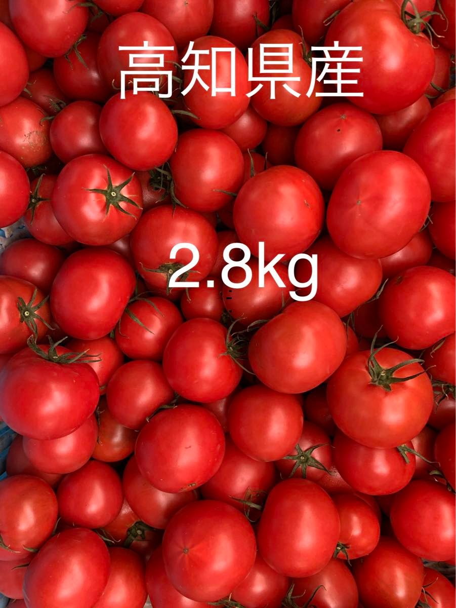 フルーツトマト　2.8kg   高知県産