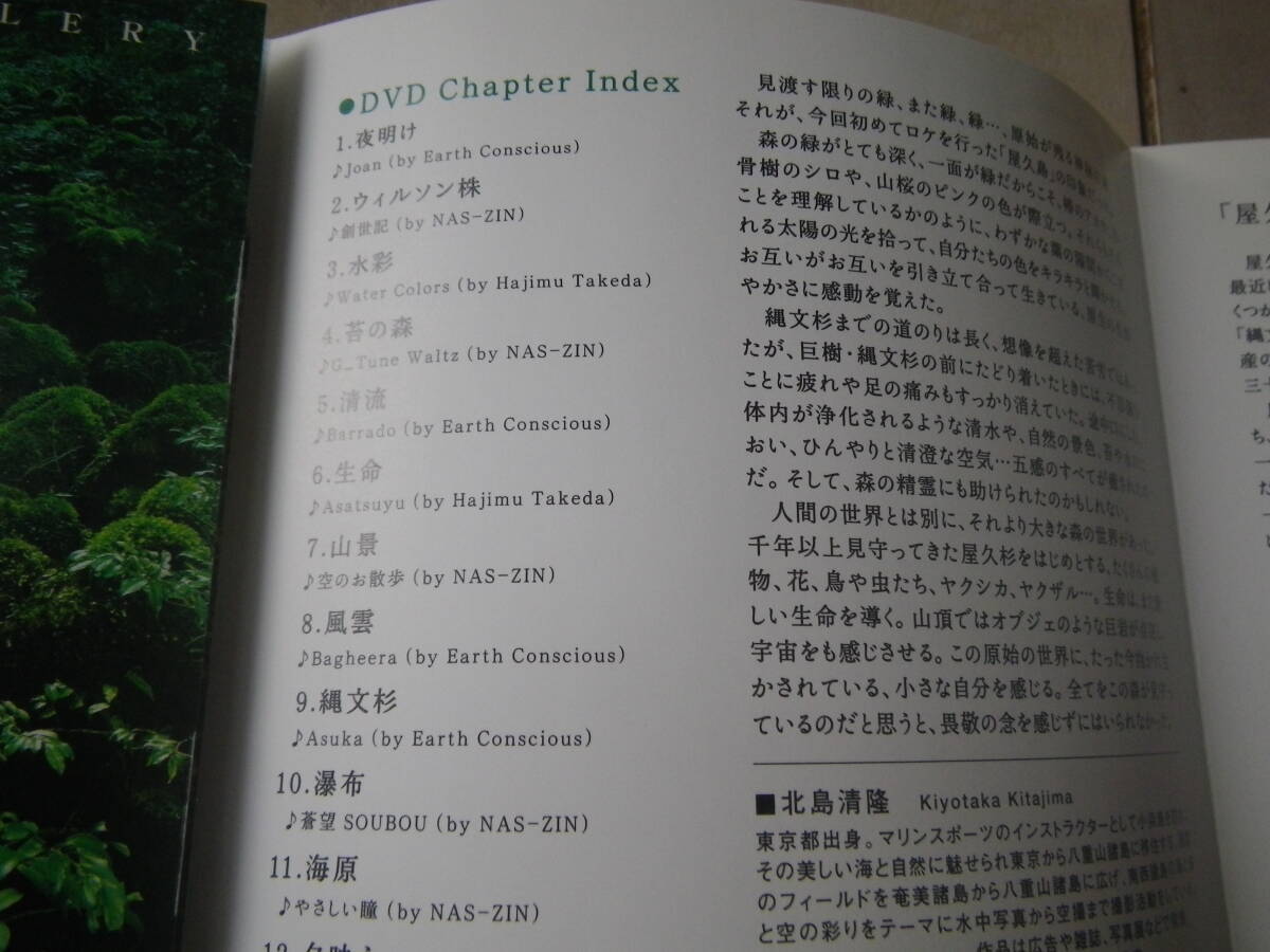 CD＆DVD（58分） 世界自然遺産 屋久島 Yakushima 水と緑に溢れる原始の島 大自然を体感！ 立体サウンド 自然音 映像 ヒーリングの画像6