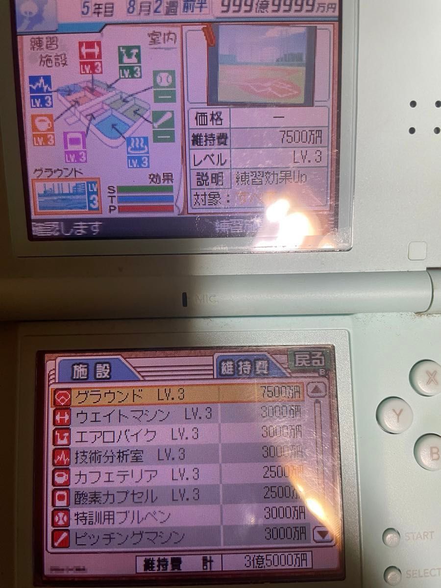 プロ野球チームをつくろう2 DS +パーフェクトガイド　セット　データ有り　資金・設備豊富