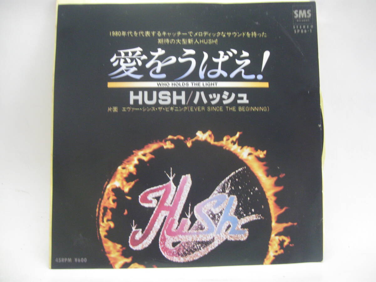 【EP】 ハッシュ／愛をうばえ！ 1979．見本盤 デビュー盤の画像1