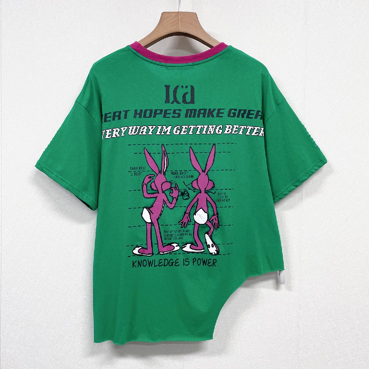 個性ヨーロッパ製※定価2万◆ブルガリア発※RISELIN 半袖Tシャツ 人気 ゆったり ダメージ加工 ウサギ トップス アシンメトリー 街着 L/48_画像2