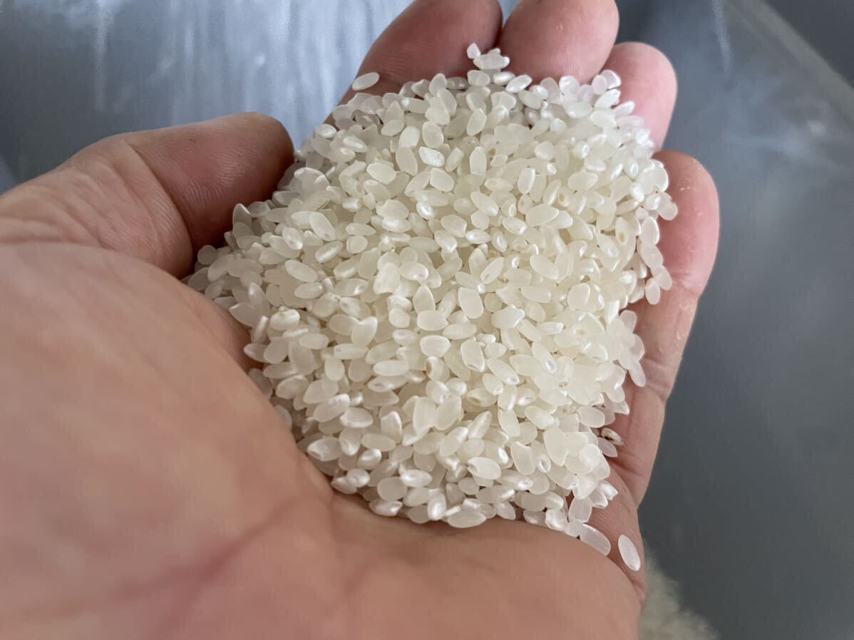 Kik 様5年産コシヒカリ玄米20k。送料込み6000円。特別栽培米。殺虫剤不使用、有機肥料不使用。美味しくなければ返品出来ます。_画像9