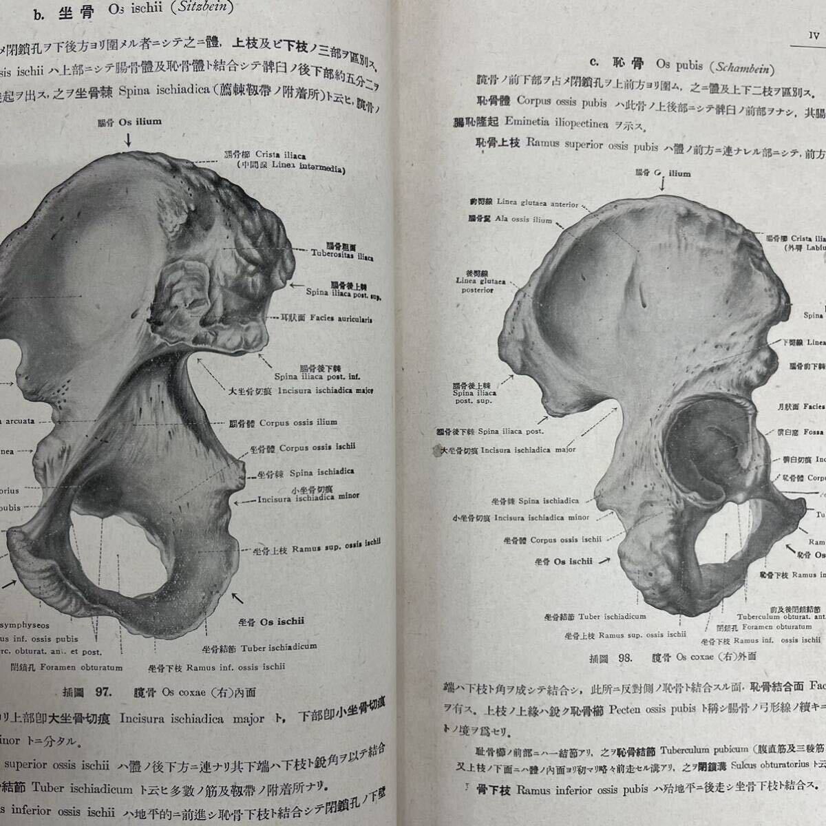 k0415-4医学本まとめ 皮膚病理 科学 近世解剖学 生理学 性病婦人科学 自律神経 教科書金原商店 Die modern allgemeine pathologie ドイツ語_画像8