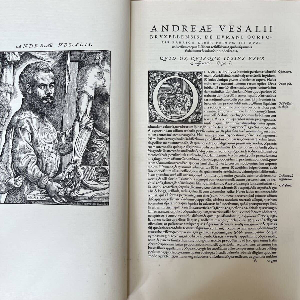 k0421-1 図版多数 1964年製本 アンドレアス・ヴェサリウス ベサリウス Andreas Vesalius 解剖学 医学 人体 版画 人体の構造 大型本