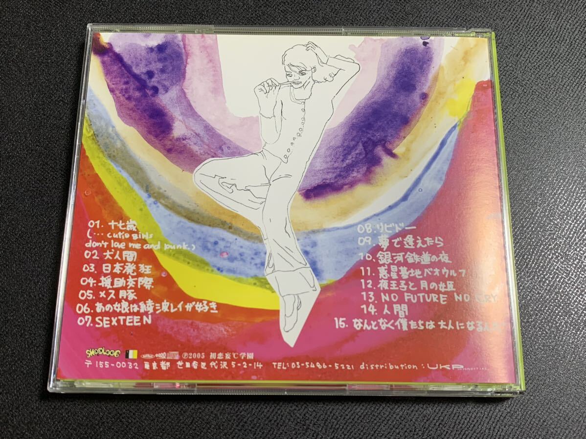 #9/帯付き/ステッカー付き/ 銀杏BOYZ(ギンナンボーイズ) 『DOOR』CD / GOING STEADY(ゴーイング・ステディ)の画像3