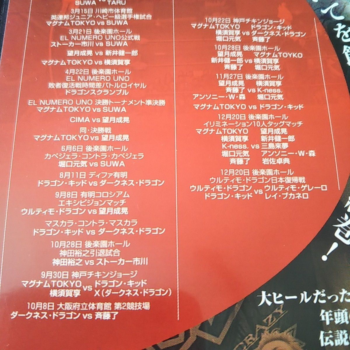 DRAGON GATE 闘龍門伝説 2002年編 DVD プロレス ドラゴンゲート 新日本プロレス_画像4