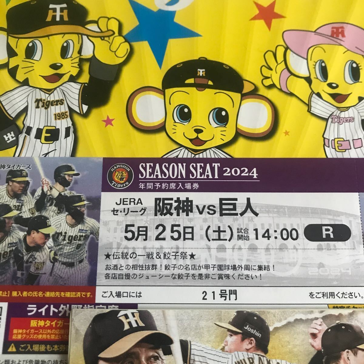 阪神甲子園球場5月25日(土)阪神対巨人公式戦チケットライト外野指定席 雨天保証の画像1