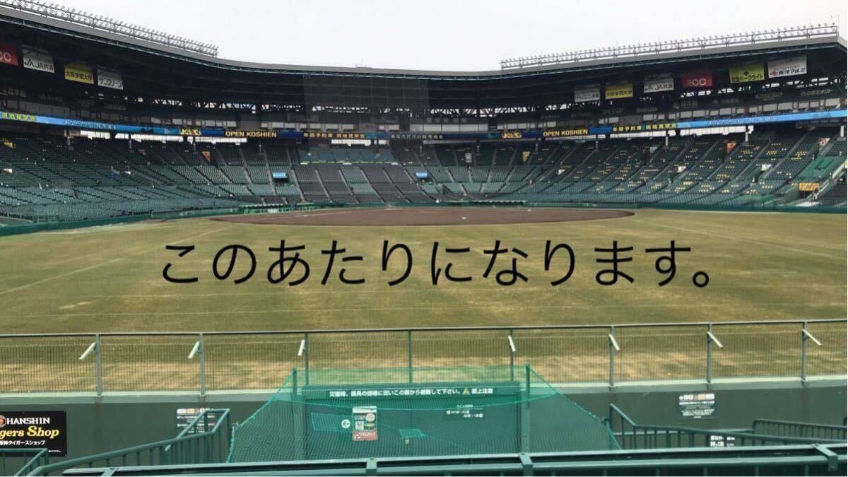 阪神甲子園球場4月16日(火)阪神対巨人公式戦チケットライト外野指定席１枚　雨天保証_画像2