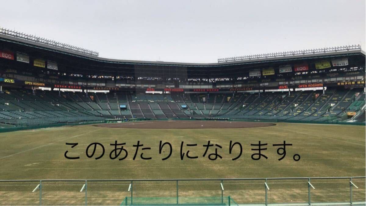 阪神甲子園球場4月28日(日)阪神対ヤクルト公式戦チケットライト外野指定席１枚 雨天保証の画像3