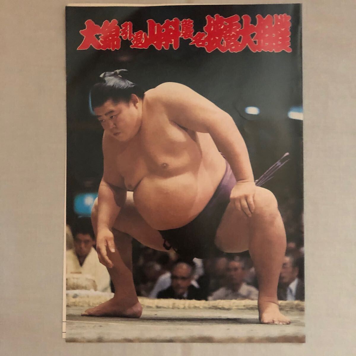 .. sumo. pamphlet 7 sheets (.,. island, earth .no sea,.. Fuji, large ., sphere shining mountain, koto Fuji )