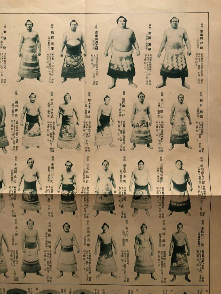 写真番付  昭和27年5月  大日本相撲協會 （当時の横綱 千代ノ山 羽黒山）の画像3