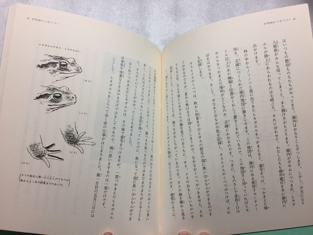 カエル合戦 (1984年) (科学の本) 久居 宣夫_画像8