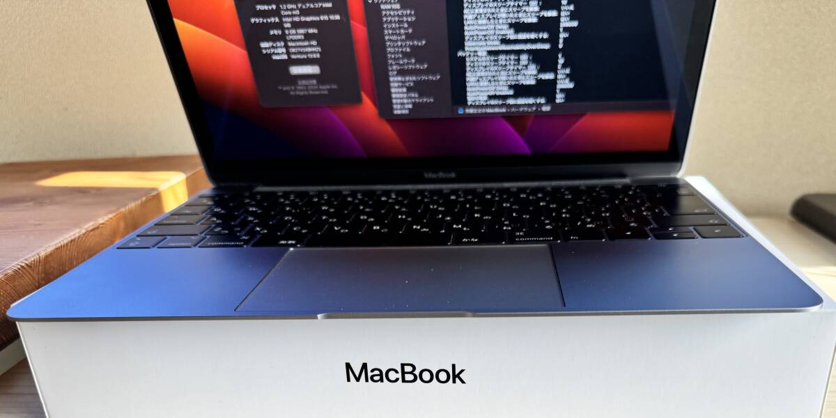 超美品 MacBook (Retina, 12-inch, 2017) 12 インチ バッテリー 正常 スペースグレイ 付属品、箱ありの画像4