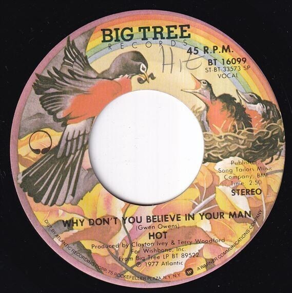 Hot - The Right Feeling At The Wrong Time / Why Don't You Believe In Your Man (A) SF-M699_7インチ大量入荷しました。