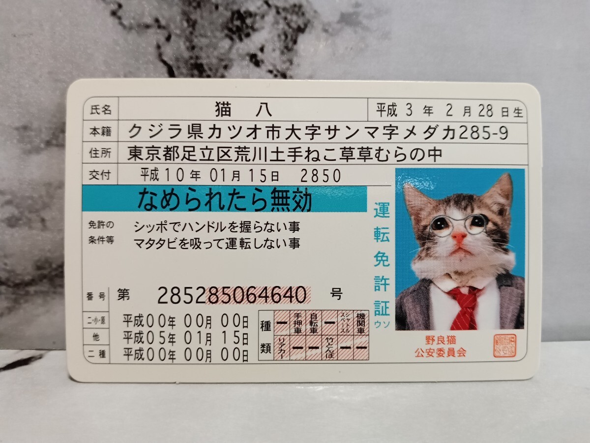 なめ猫 免許証 　当時物　又吉　どら吉　ニャン太郎　猫八　4枚セット_画像3