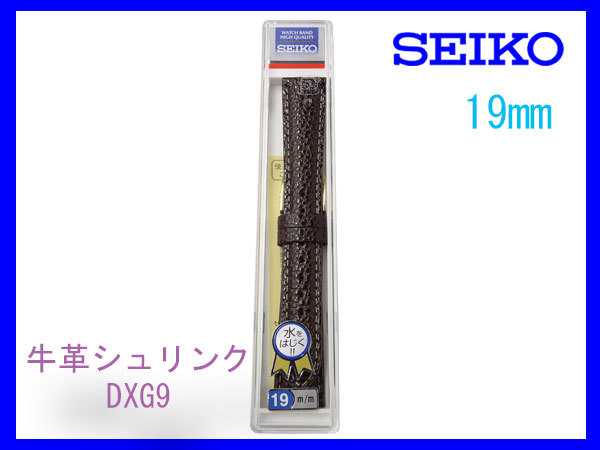 [ネコポス送料180円] 19mm こげ茶 DXG9 セイコー 牛革シュリンク時計バンド 新品未使用正規品の画像3